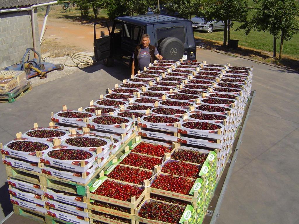 B&B Cherryfarm Brustem Zewnętrze zdjęcie